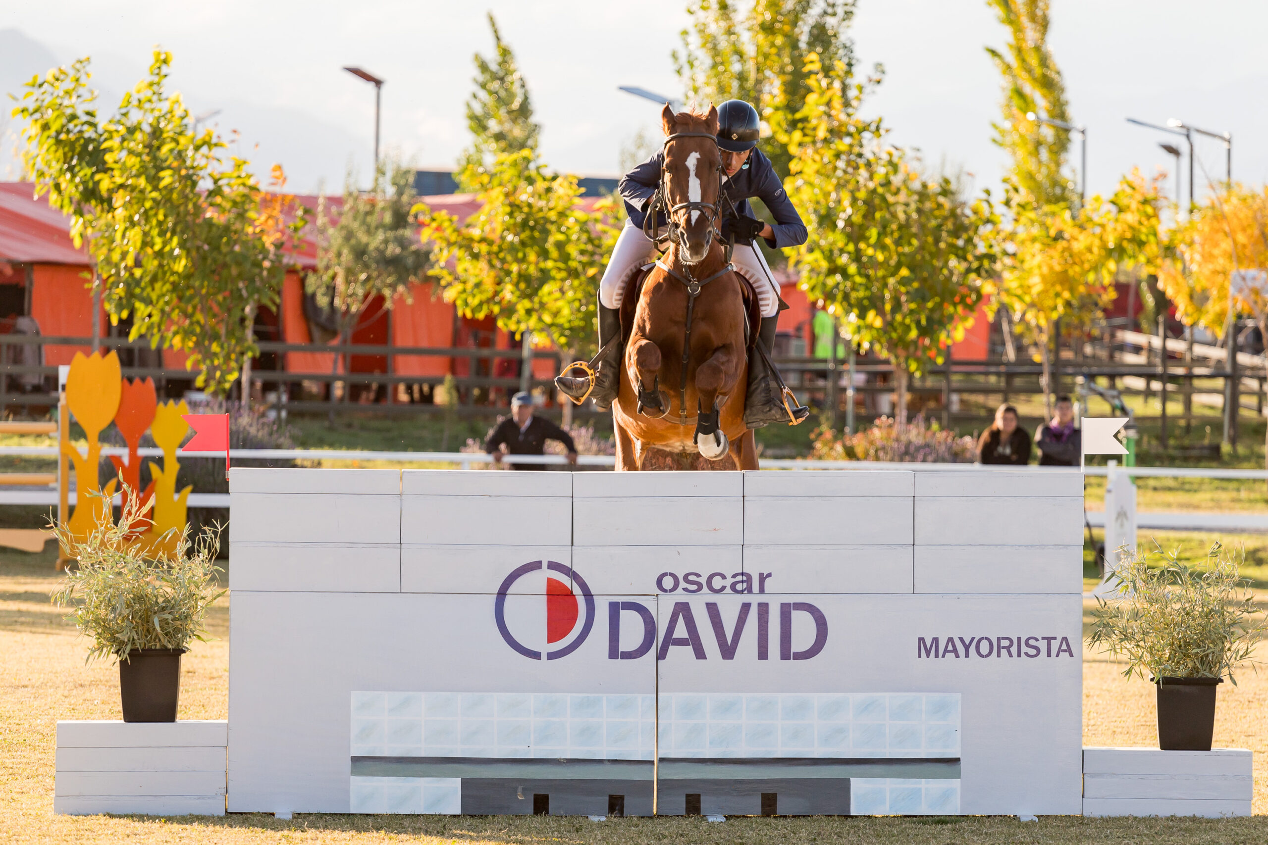 Salto Hípico: un clásico de la equitación se consagra entre viñedos - Voilà